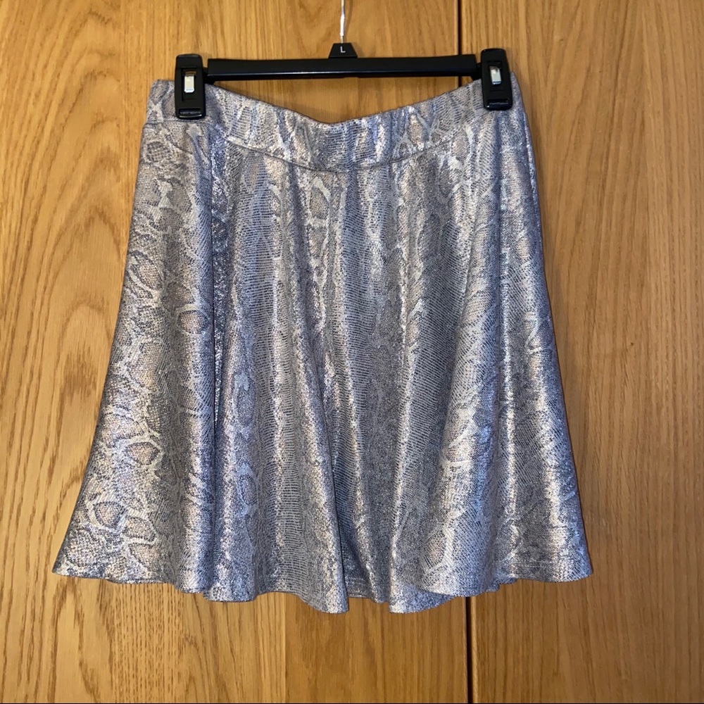 Silver Skater Skirt